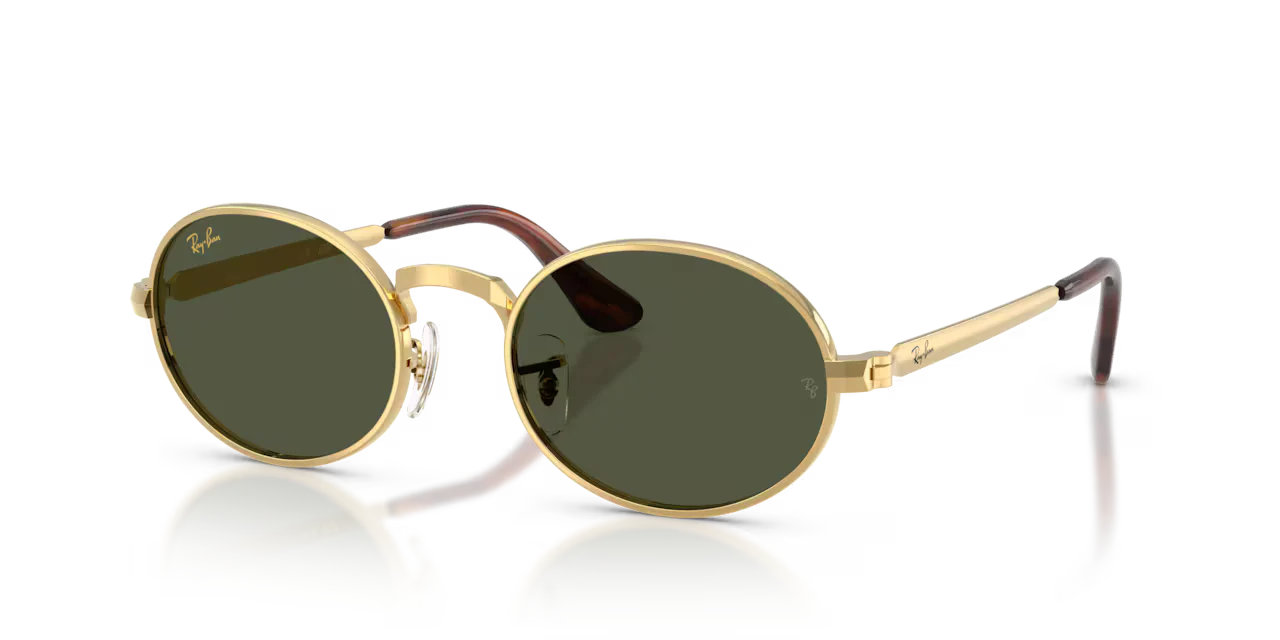 Ray-Ban RB3931 Replacement Parts
