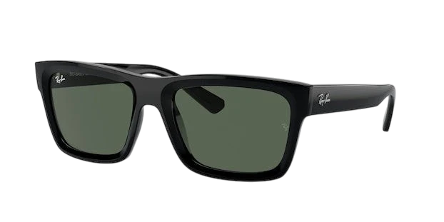 Ray-Ban Warren RB4396 Replacement Parts